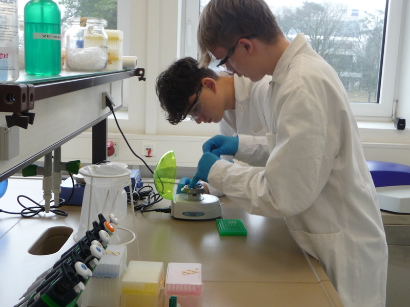 Zwei Jungen in Laborkitteln beugen sich über ein Experiment