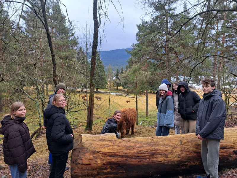 Bild 2: Gruppe mit neuem Mitglied, das sich überraschend angeschlossen hat: Kuh